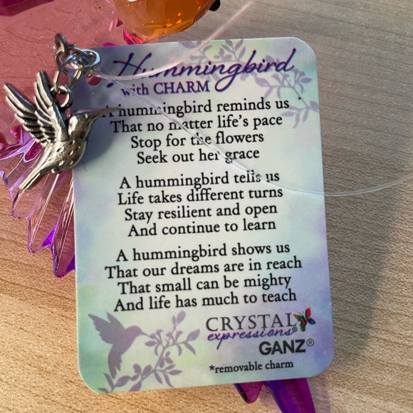 3 Ganz Crystal Expression Acrylic Hummingbird 6” Ornaments with Charm - NWT - Picture 5 of 15